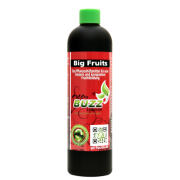 BUZZ Liquids Big Fruits Standard 250ml