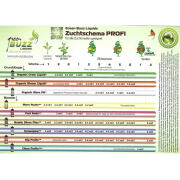 Green Buzz Nutrients Organic Bloom 250ml